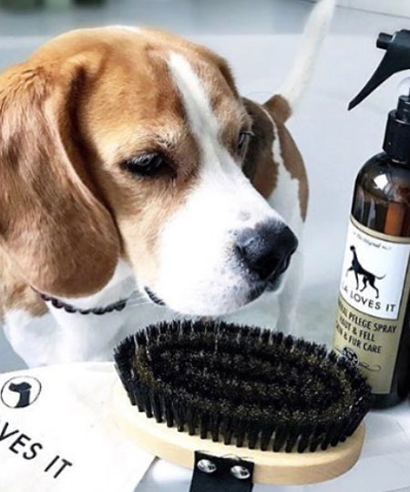 lila-loves-it-brosse-pour-chien-poils-court