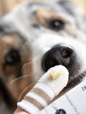 lila-loves-it-Brosse-a-dent-pour-chien-chat