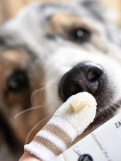 lila-loves-it-Brosse-a-dent-pour-chien-chat