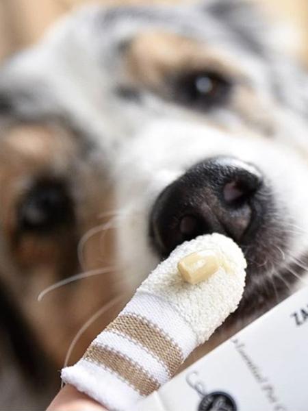 lila-loves-it-Brosse-a-dent-pour-chien-chat