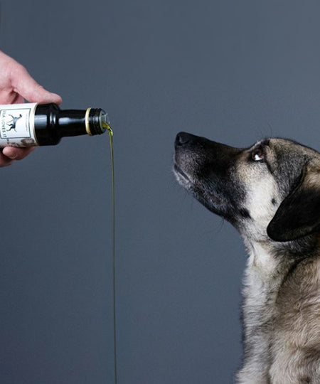 Lila-loves-it-Melange-5-huiles-chien