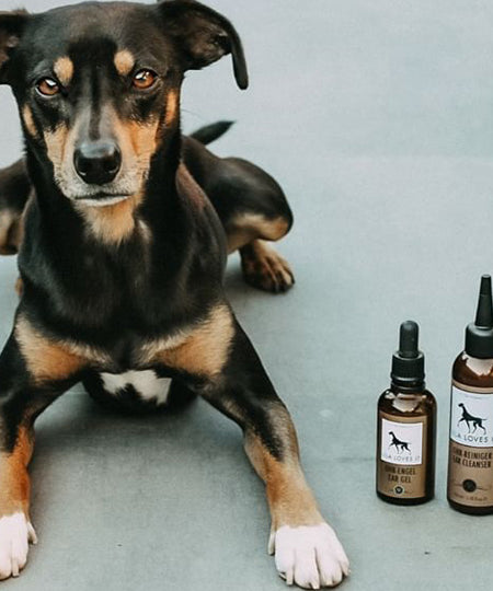 lila-loves-it-soin-des-oreilles-pour-chien