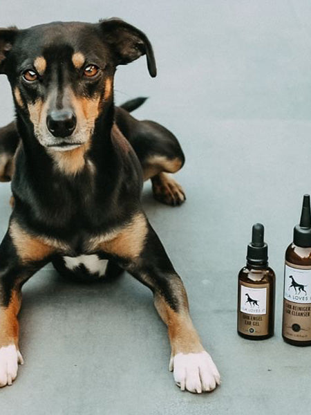 lila-loves-it-soin-des-oreilles-pour-chien