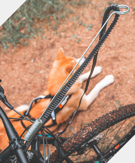 non-stop-dogwear-bike-antenna