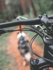 non-stop-dogwear-bike-antenna