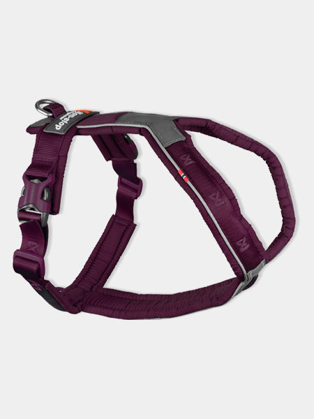non-stop-dogwear-harnais-chien-line-harness-5.0-violet
