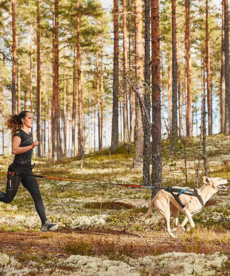 non-stop-dogwear-harnais-freemotion
