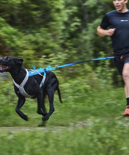 non-stop-dogwear-laisse-bungee-bleu