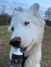 pate-tube_porc-wildborn