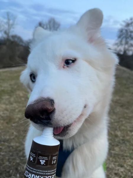 pate-tube_porc-wildborn