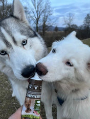 pate-tube_porc-wildborn