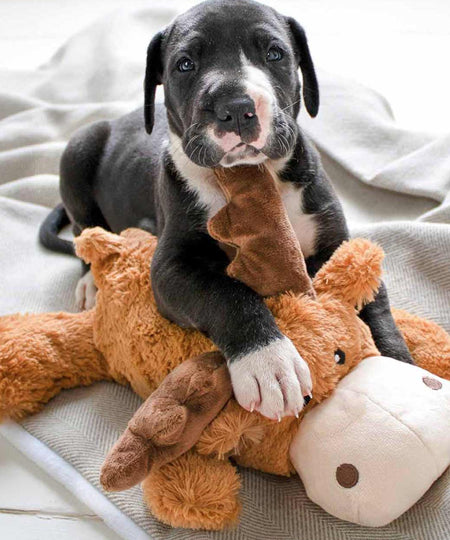 peluche-KONG-Cozies-Marvin-Moose-elan-pour-chien