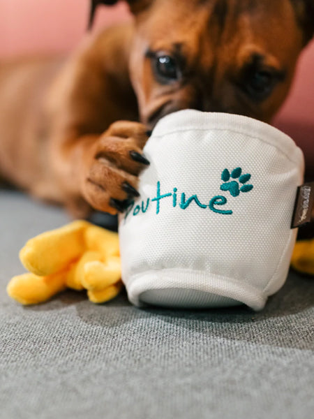 pet-play-Montreal-Munchies-peluche-pour-chien-poutine