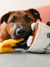 pet-play-Montreal-Munchies-peluche-pour-chien-poutine