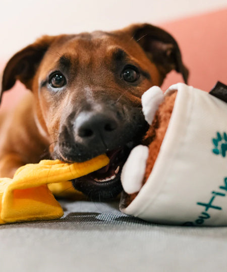 pet-play-Montreal-Munchies-peluche-pour-chien-poutine