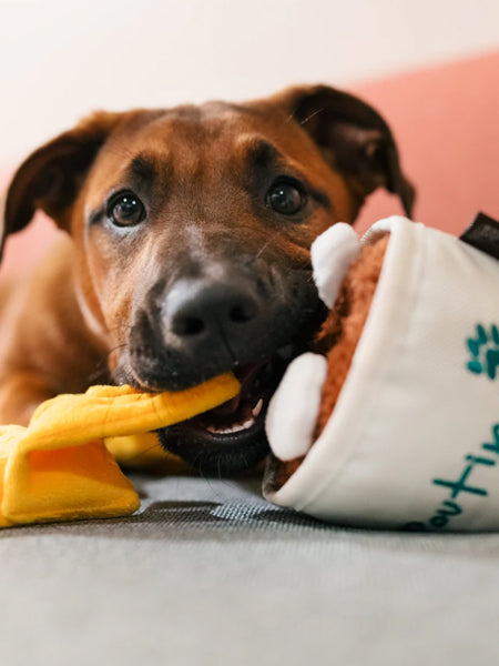 pet-play-Montreal-Munchies-peluche-pour-chien-poutine