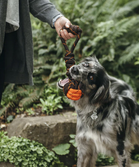 pet-play-jouet-en-corde-chien-Tug-Ball
