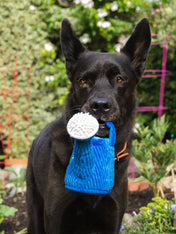 pet-play-peluche-chien-blooming-buddies-arrosoir