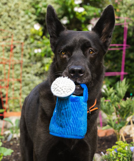 pet-play-peluche-chien-blooming-buddies-arrosoir