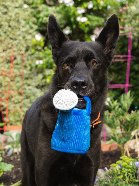 pet-play-peluche-chien-blooming-buddies-arrosoir