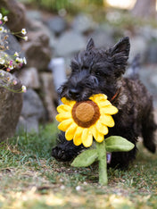 pet-play-peluche-chien-blooming-buddies-tournesol