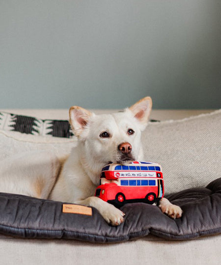 pet-play-peluche-chien-bus-london