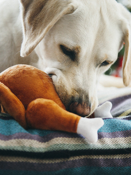 pet-play-peluche-chien-dinde-de-noel