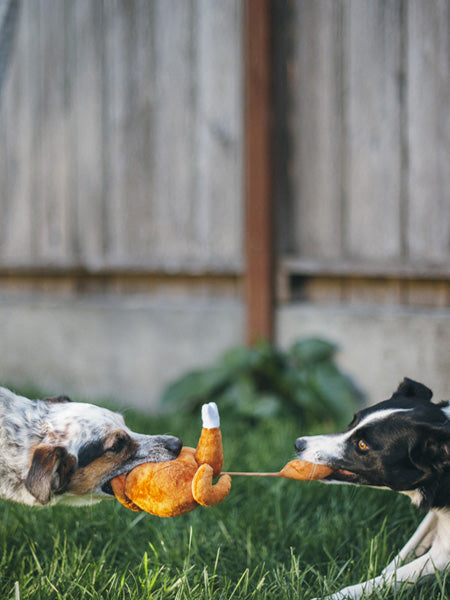 pet-play-peluche-chien-dinde-de-noel