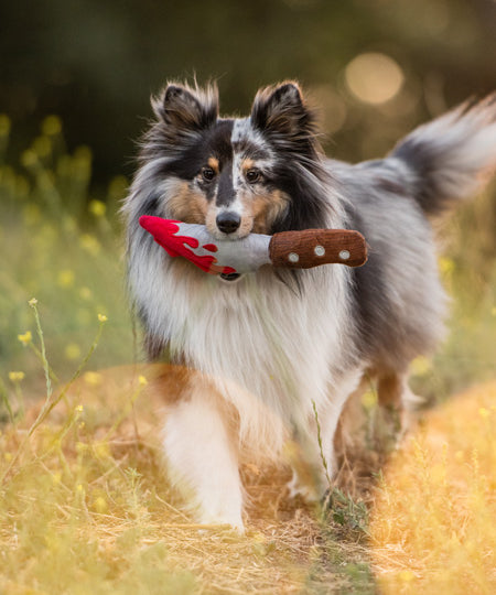 pet-play-peluche-chien-halloween-couteau-sang