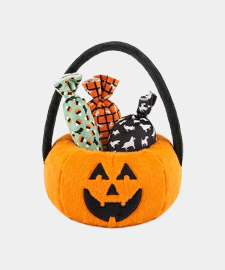 pet-play-peluche-chien-halloween-jouet-fouille-citrouille