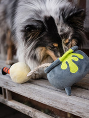 pet-play-peluche-chien-halloween-potion-magique