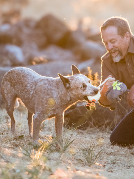 pet-play-peluche-chien-halloween-potion-magique