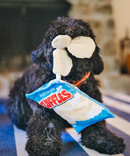pet-play-peluche-chien-snack-attack-chips
