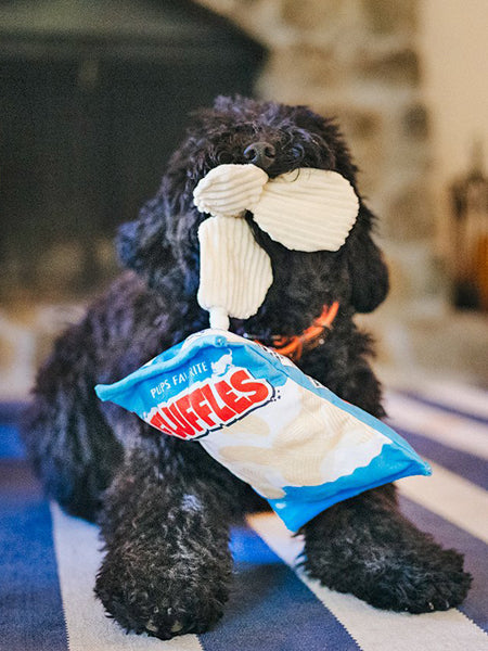 pet-play-peluche-chien-snack-attack-chips
