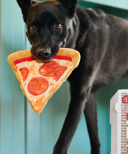 pet-play-peluche-chien-snack-attack-pizza