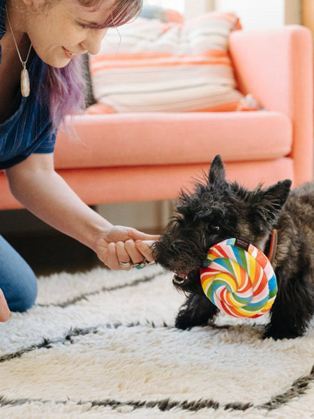 pet-play-peluche-chien-snack-attack-Sucette
