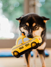 pet-play-peluche-chien-taxi-us