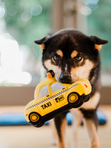pet-play-peluche-chien-taxi-us