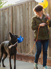 jouet-peluche-pour-chien-Ballon-Anniversaire