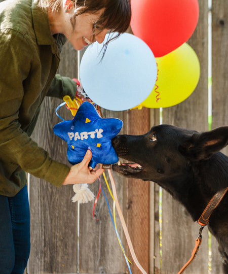 jouet-peluche-pour-chien-Ballon-Anniversaire