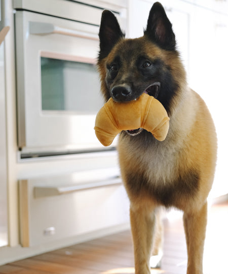 jouet-peluche-pour-chien-Croissant