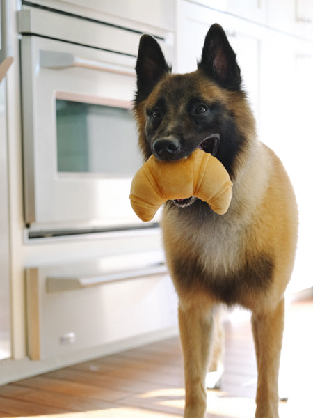 jouet-peluche-pour-chien-Croissant