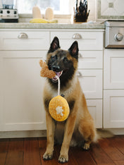 pet-play-peluche-pour-chien-2020-gauffre-poulet-chien-de-berger