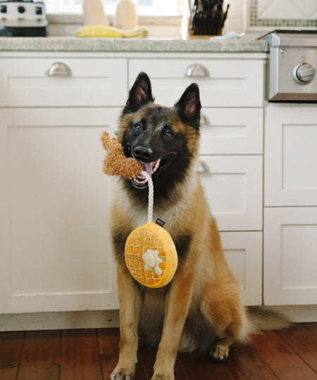 pet-play-peluche-pour-chien-2020-gauffre-poulet-chien-de-berger