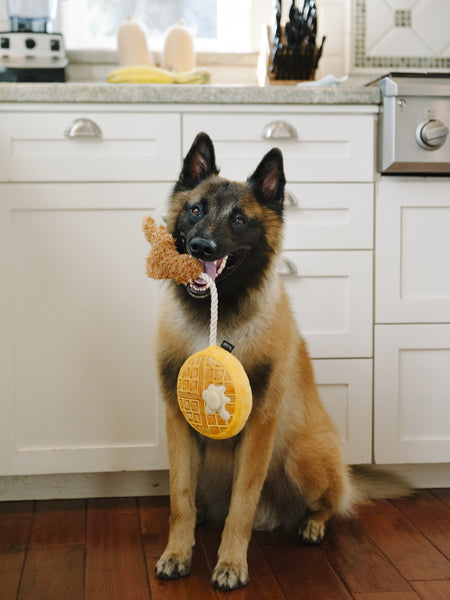 pet-play-peluche-pour-chien-2020-gauffre-poulet-chien-de-berger