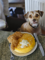 pet-play-peluche-pour-chien-2020-gauffre-poulet