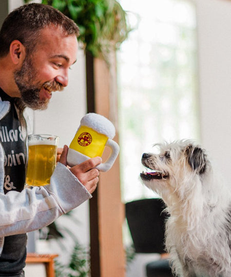 pet-play-peluche-pour-chien-chiot-Hollywoof-bierre