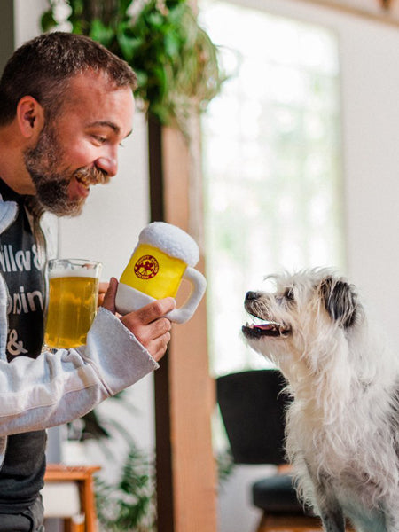 pet-play-peluche-pour-chien-chiot-Hollywoof-bierre