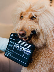 pet-play-peluche-pour-chien-chiot-Hollywoof-clap-de-tournage