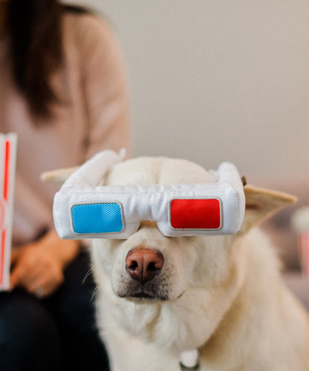 pet-play-peluche-pour-chien-chiot-Hollywoof-lunette-3D